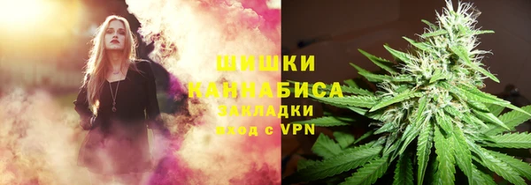 стаф Богородск