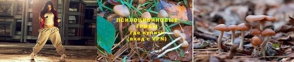 прущие крисы Богородицк