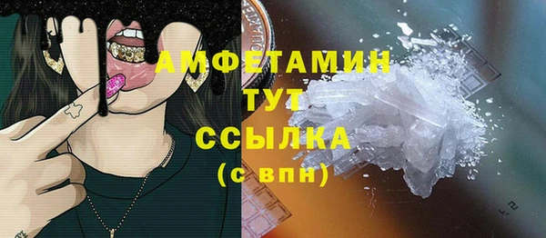 спиды Богданович
