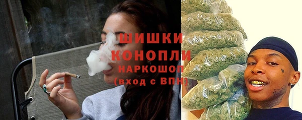 спиды Богданович