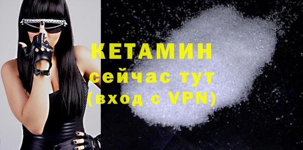 спиды Богданович