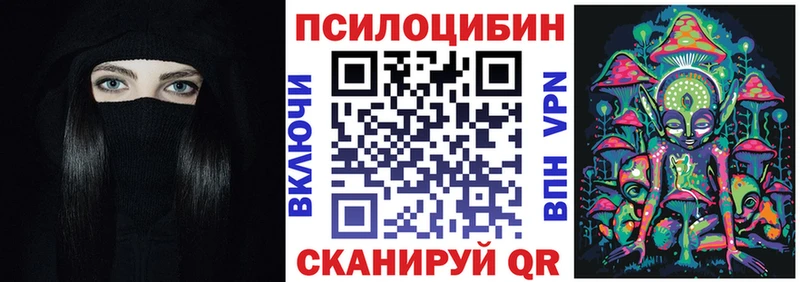 Купить закладки  Кашин  Галлюциногенные грибы Cubensis 